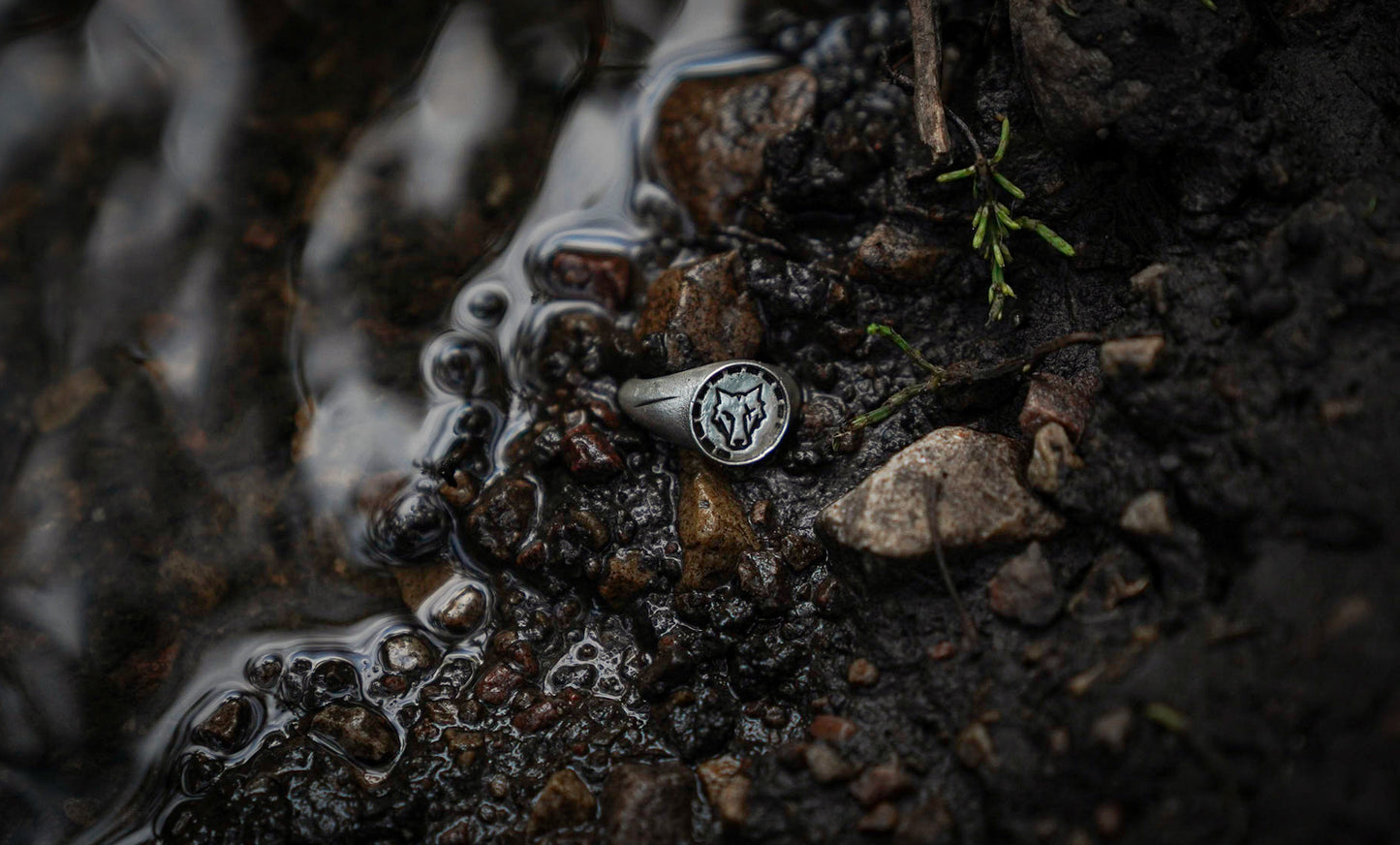 "The Pack" Signet Ring