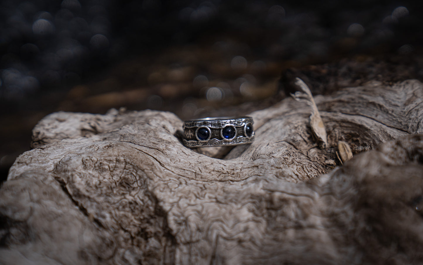 The Otters' Magical Focus Ring